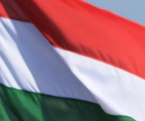 Puzzle Σημαία της Ουγγαρίας